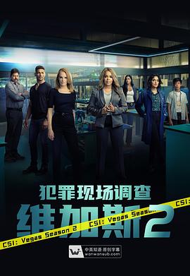 犯罪現(xiàn)場調(diào)查：維加斯第二季第01集