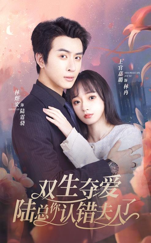 雙生奪愛(ài)陸總你認(rèn)錯(cuò)夫人了第02集