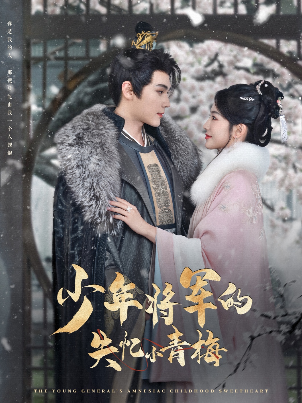 少年將軍的失憶小青梅(全集)