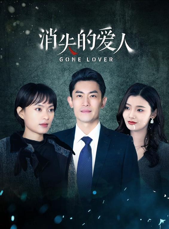 消失的愛(ài)人2025(全集)