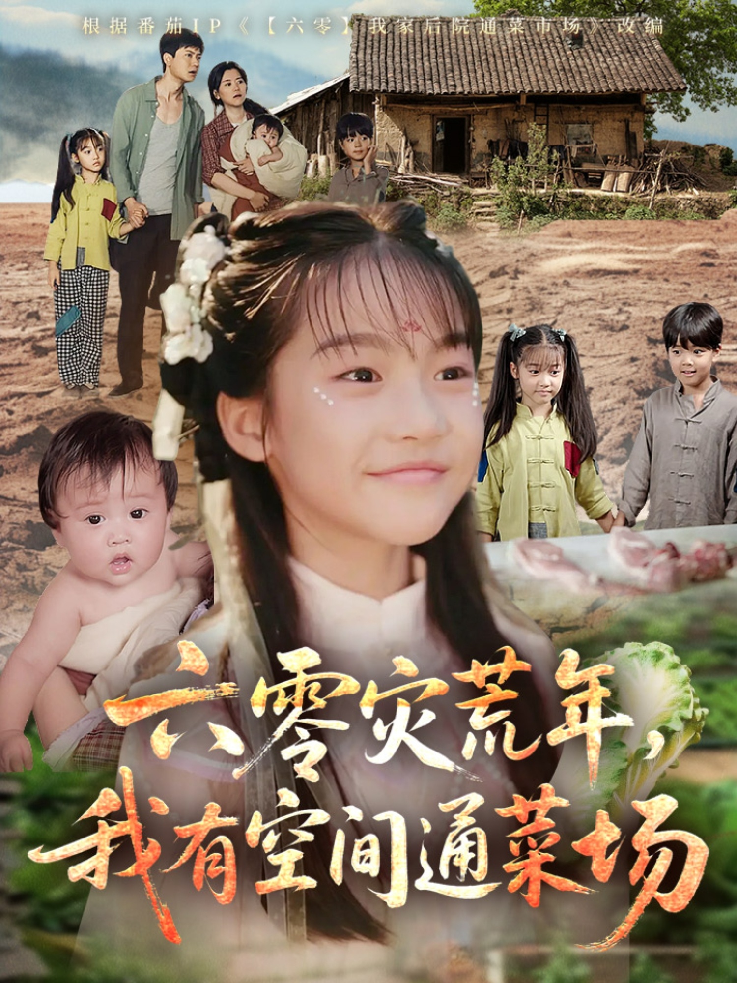 六零災(zāi)荒年，我有空間通菜場(chǎng)(全集)