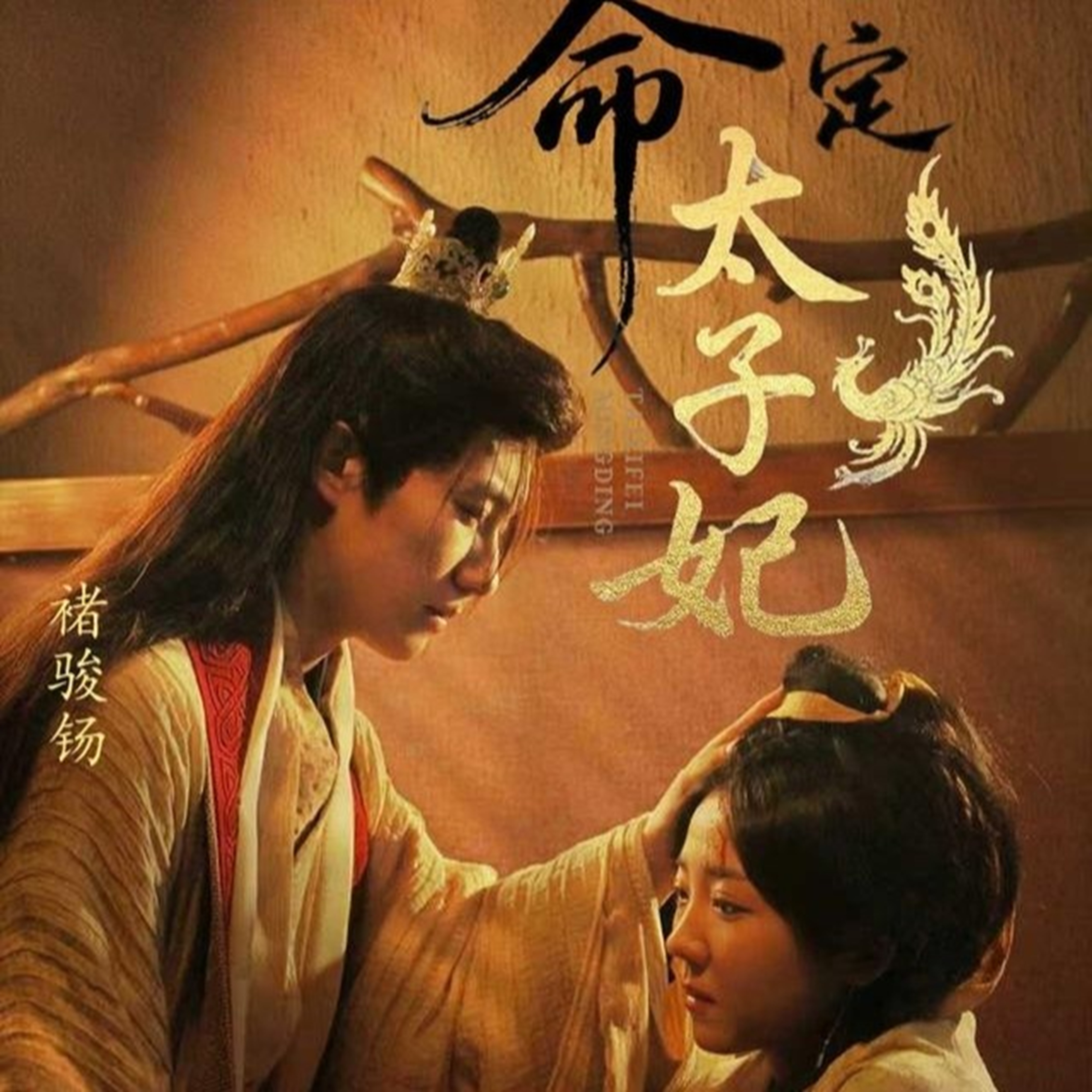 命定太子妃第62集