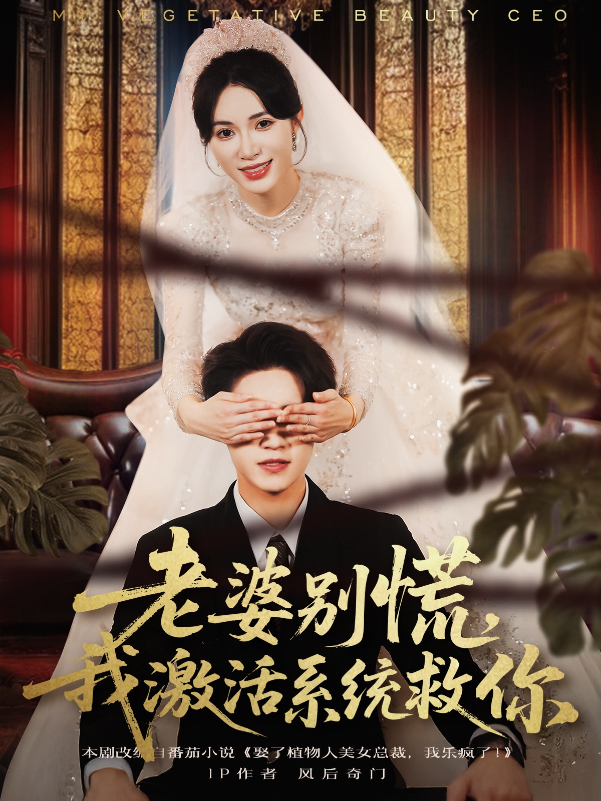 老婆別慌，我激活系統(tǒng)救你(全集)