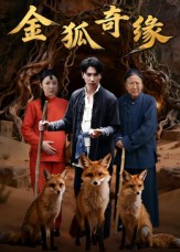 金狐奇緣(全集)