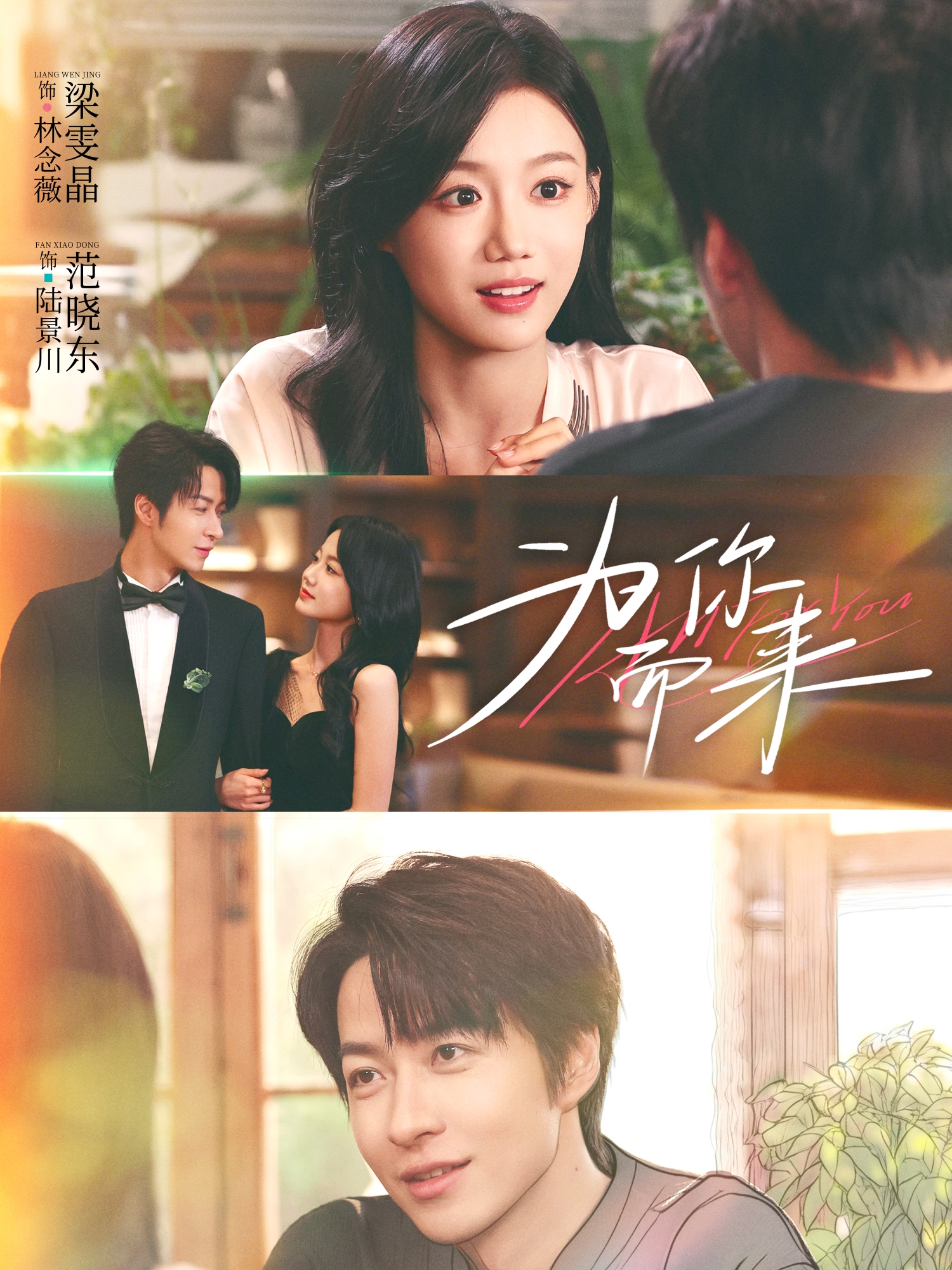 為你而來(全集)