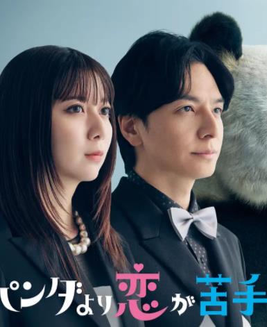 比熊貓更不擅長戀愛的我們