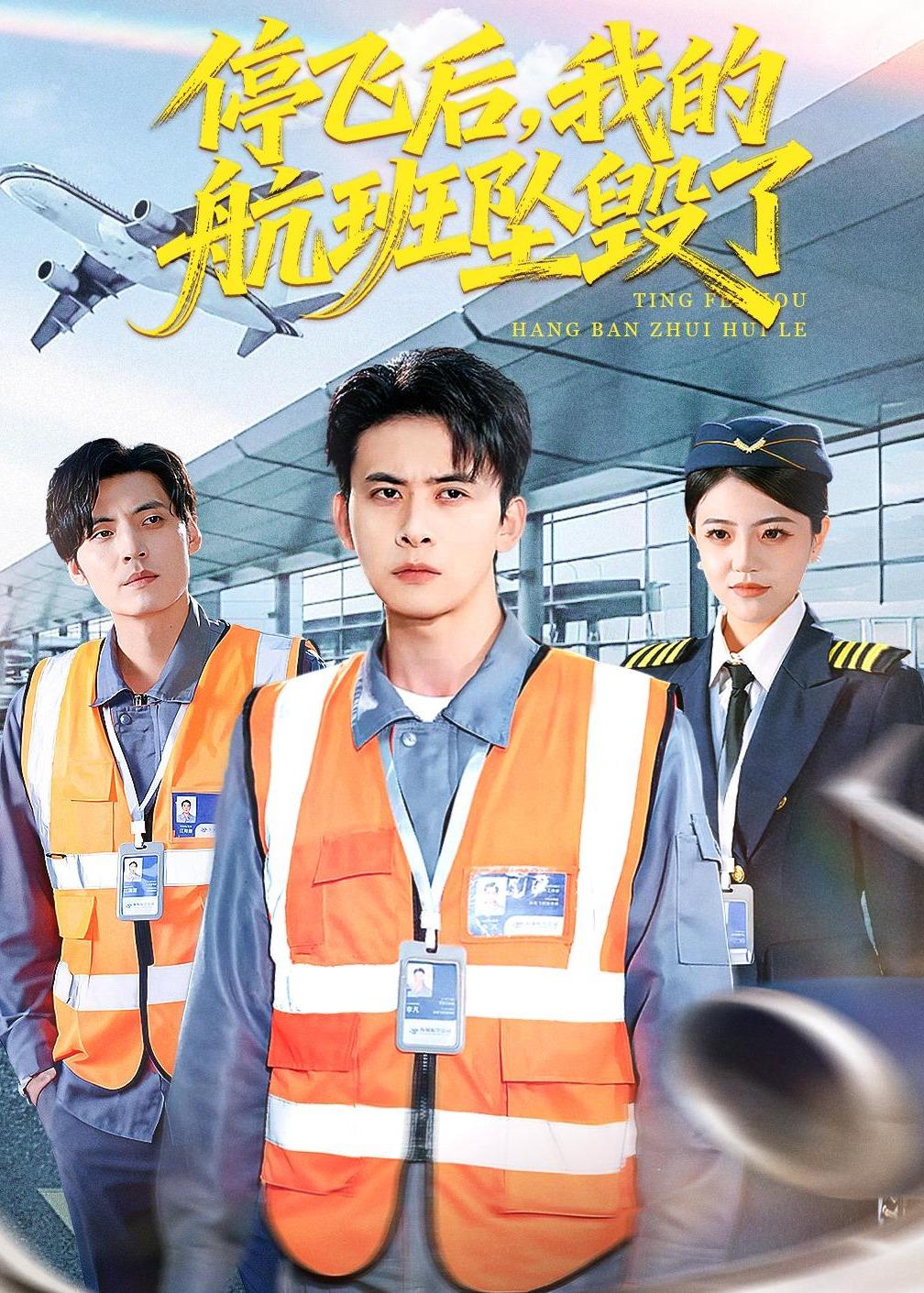 停飛后，我的航班墜毀了(全集)