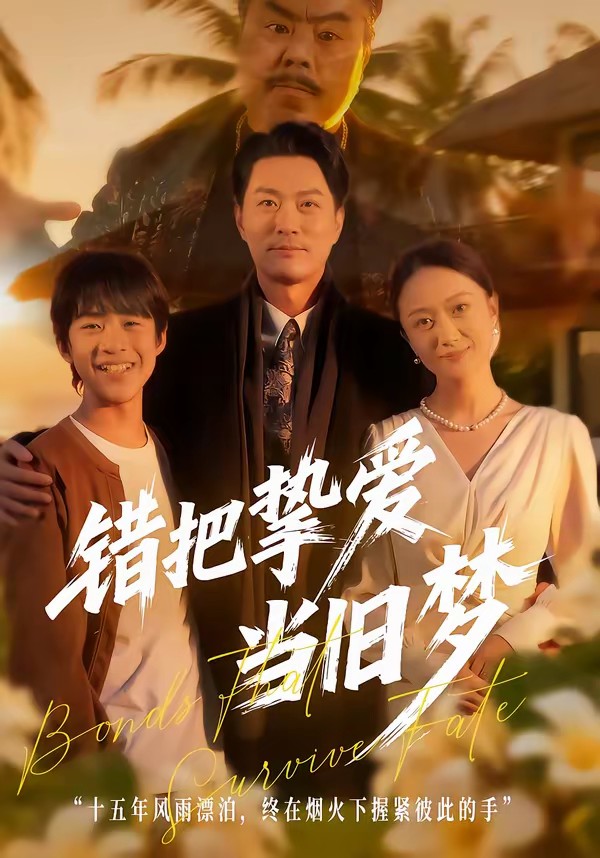 錯(cuò)把摯愛當(dāng)舊夢(全集)