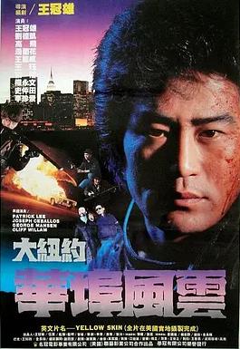 大紐約華埠風云