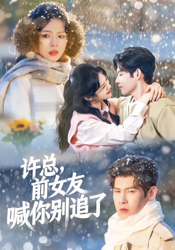 許總，前女友喊你別追了(全集)