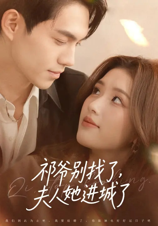 祁爺別找了，夫人她進(jìn)城了(全集)