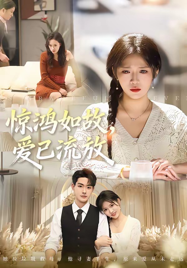 驚鴻如故，愛已流放(全集)