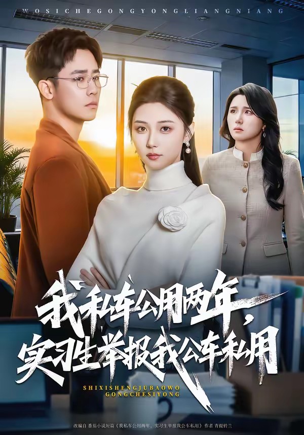 我私車(chē)公用兩年，實(shí)習(xí)生舉報(bào)我公車(chē)私用(全集)