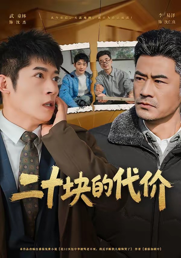 二十塊的代價(jià)(全集)