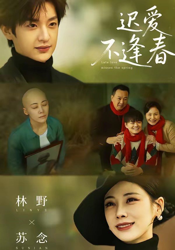 遲愛不逢春(全集)