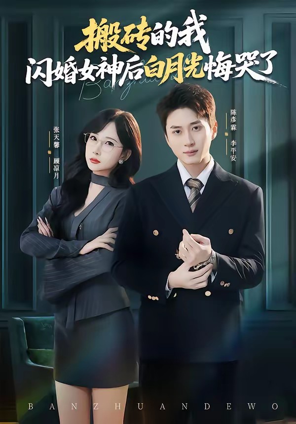 搬磚的我，閃婚女神后白月光悔哭了(全集)