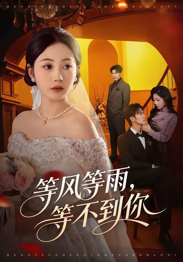 等風等雨，等不到你(全集)