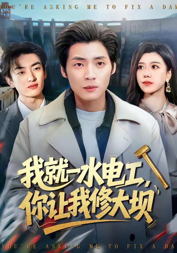 我就一水電工，你讓我修大壩(全集)