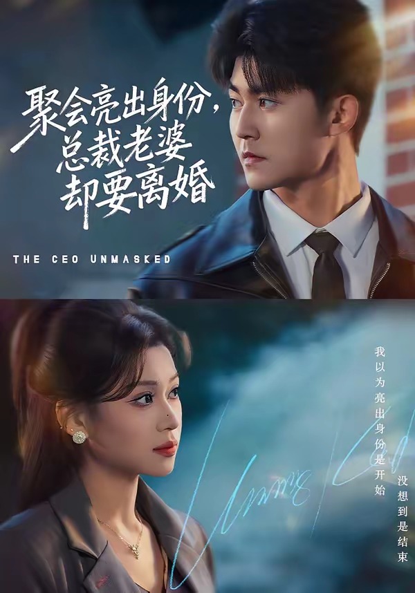 聚會(huì)亮出身份，總裁老婆卻要離婚(全集)