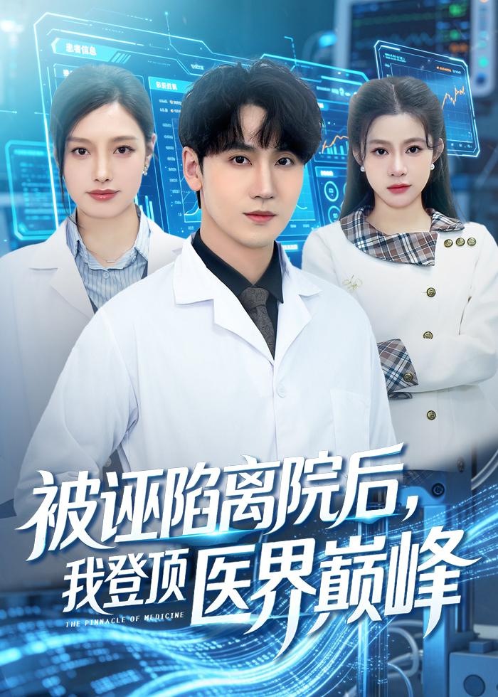 被誣陷離院后，我登頂醫(yī)界巔峰(全集)