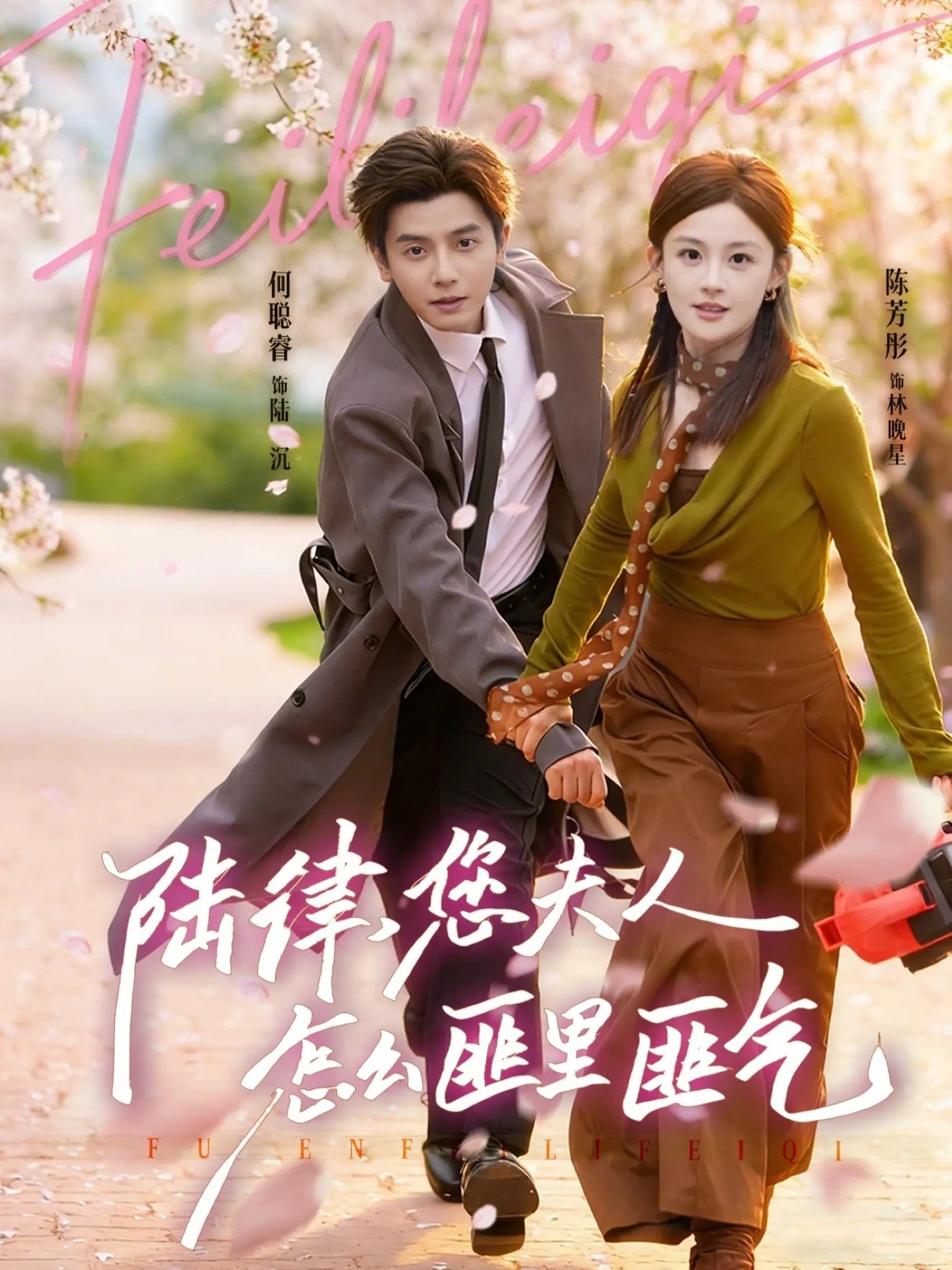 陸律，您夫人怎么匪里匪氣(全集)