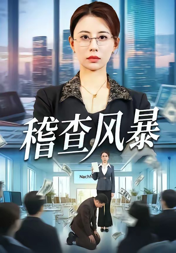 稽查風暴(全集)