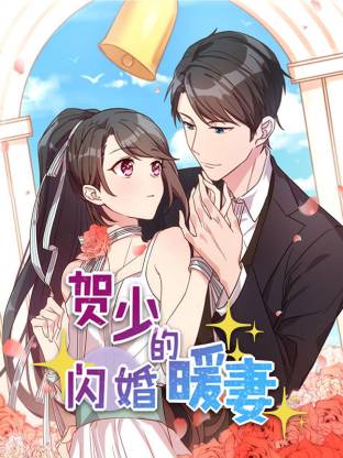 賀少的閃婚暖妻(全集)
