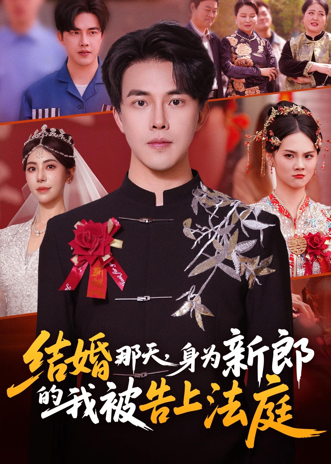 結(jié)婚那天，身為新郎的我被告上法庭(全集)