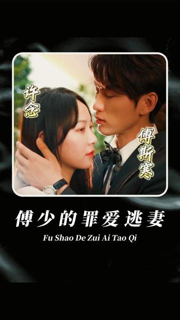 傅少的罪愛逃妻11-20集