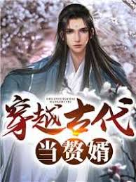穿越古代當(dāng)贅婿101-120集