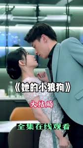 她的小狼狗1-20集