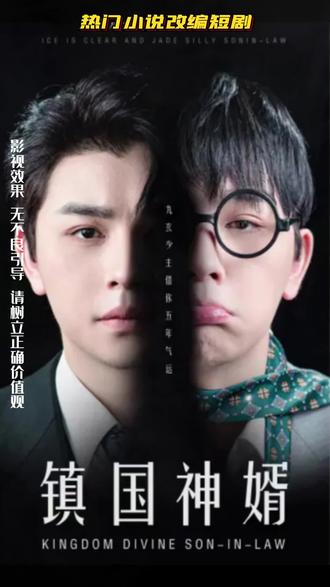 鎮(zhèn)國神婿1-20集