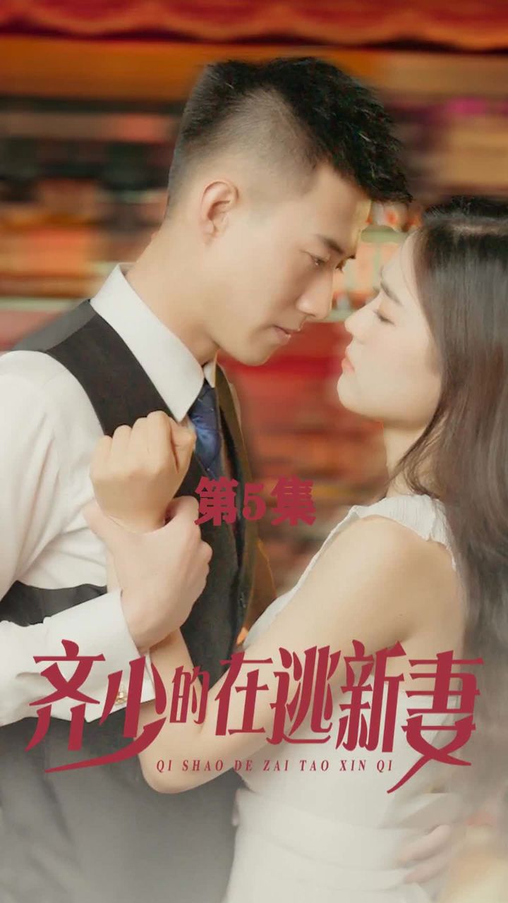 齊少的在逃新妻61-80集(大結(jié)局)