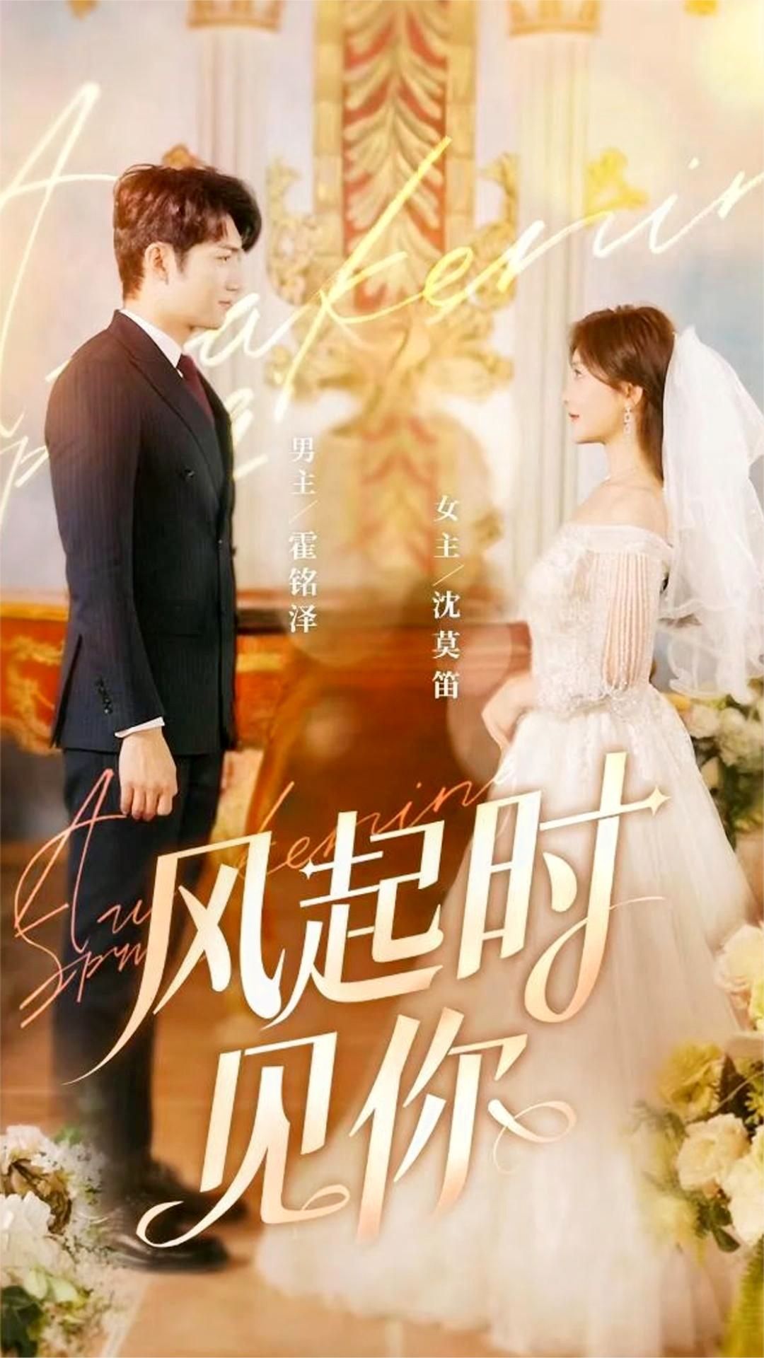 風(fēng)起時(shí)見你(全集)