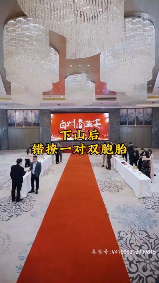 下山后，錯(cuò)撩一對(duì)雙胞胎(全集)