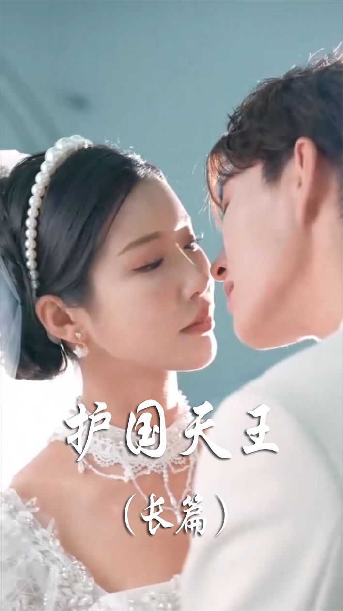 護(hù)國(guó)天王全集(大結(jié)局)