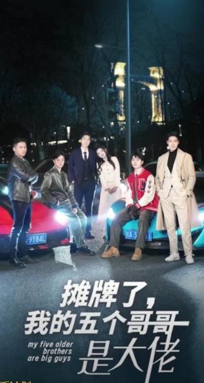 攤牌了我的五個(gè)哥哥是大佬全集(大結(jié)局)