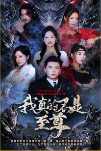 我真的不是至尊全集(大結(jié)局)