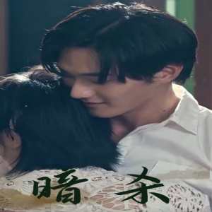 暗殺短劇版全集(大結局)