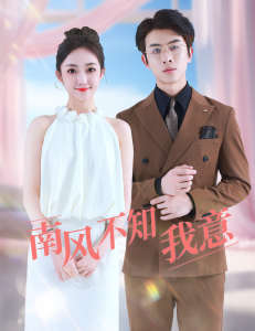 南風(fēng)不知我意全集(大結(jié)局)