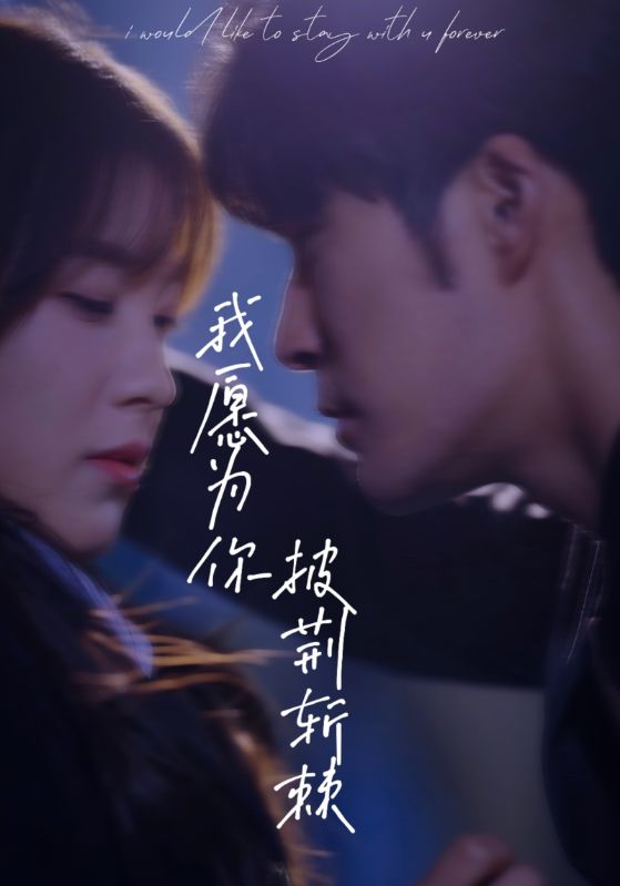 我愿為你披荊斬棘全集(大結(jié)局)