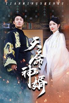 天命神婿全集(大結局)