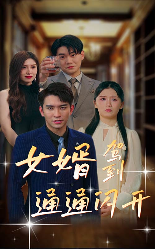 女婿駕到，通通閃開(全集)