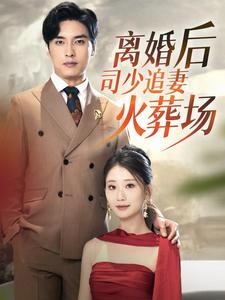 離婚后司少追妻火葬場全集(大結(jié)局)