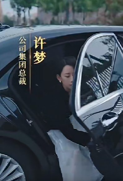 女老板的復(fù)仇全集(大結(jié)局)