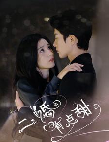 二婚有點(diǎn)甜全集(大結(jié)局)