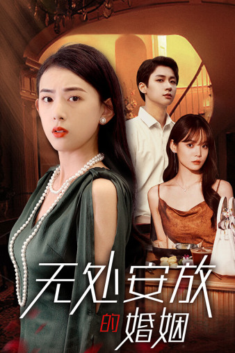 無處安放的婚姻全集(大結(jié)局)