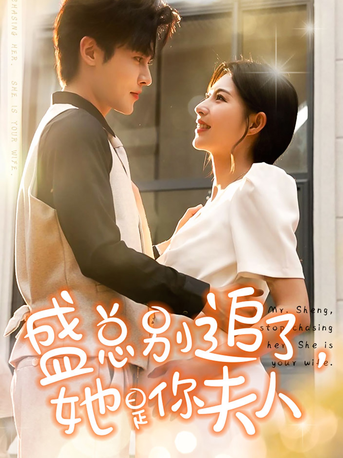 盛總別追了，她是你夫人(全集)