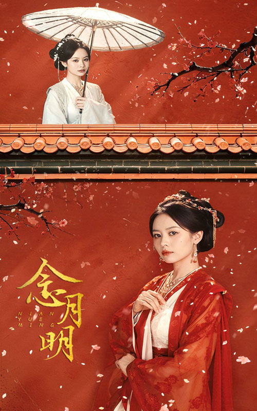念月明全集(大結(jié)局)