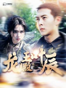 龍王殿葉辰全集(大結(jié)局)